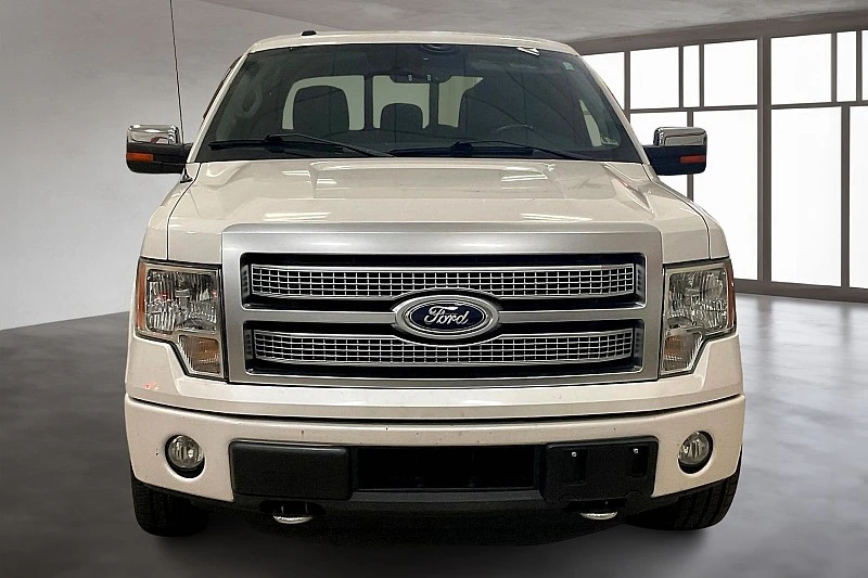 2012 Ford F-150 Platinum photo 3