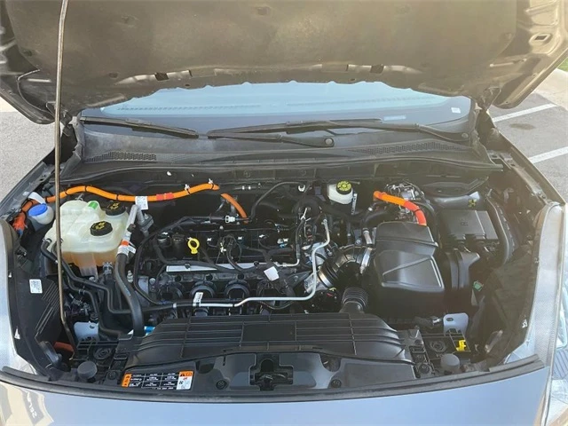 Elder Mitsubishi Killeen