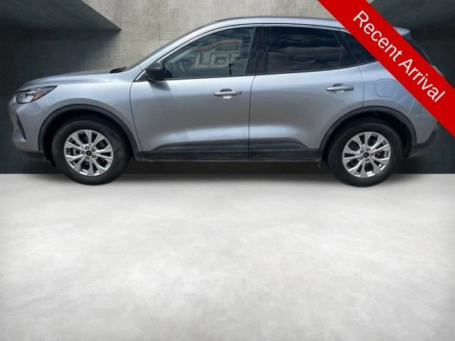 Elder Mitsubishi Killeen