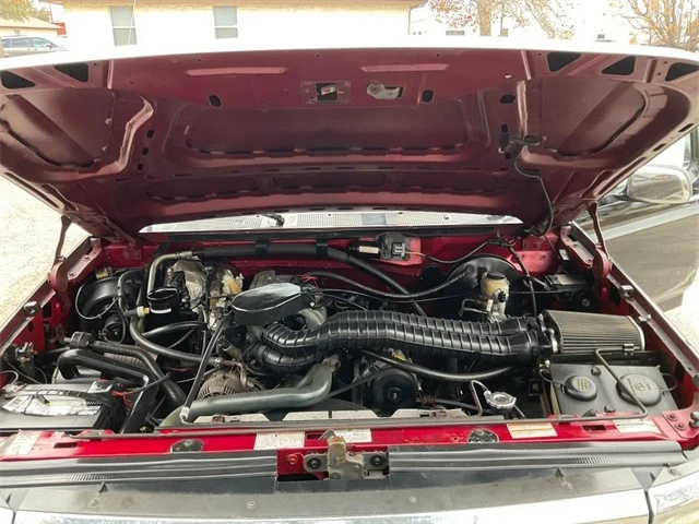 Elder Mitsubishi Killeen