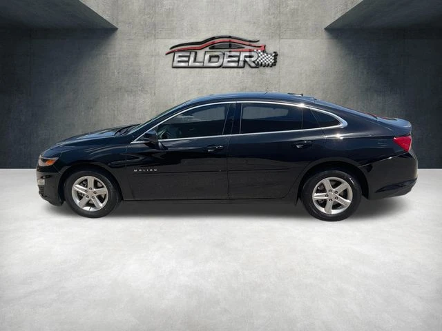 Elder Mitsubishi