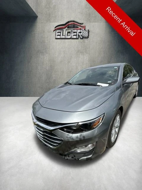 Elder Mitsubishi