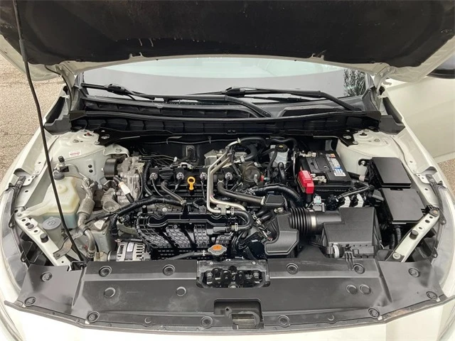 Elder Mitsubishi Killeen