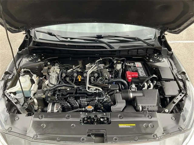 Elder Mitsubishi Killeen