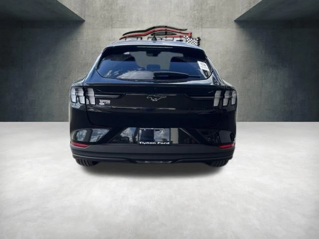 Elder Mitsubishi Killeen