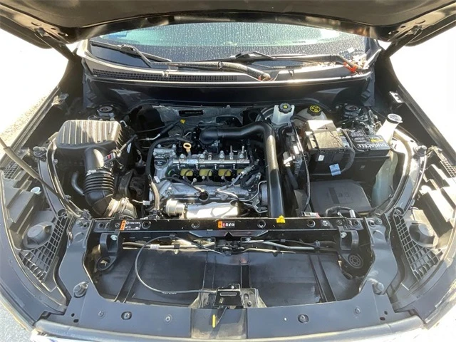 Elder Mitsubishi Killeen