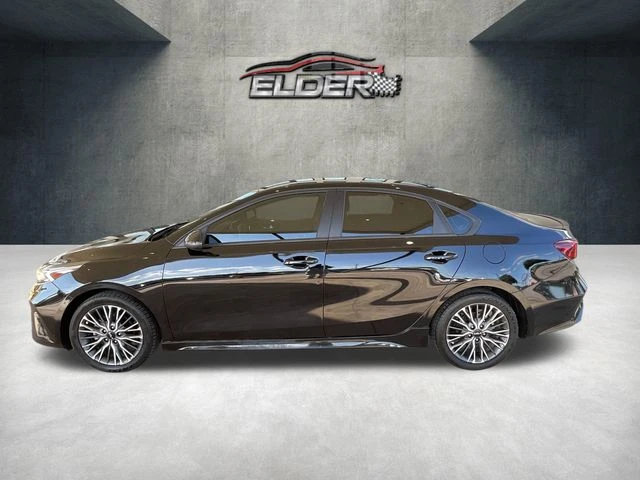 Elder Mitsubishi