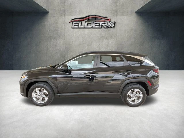 Elder Mitsubishi Killeen