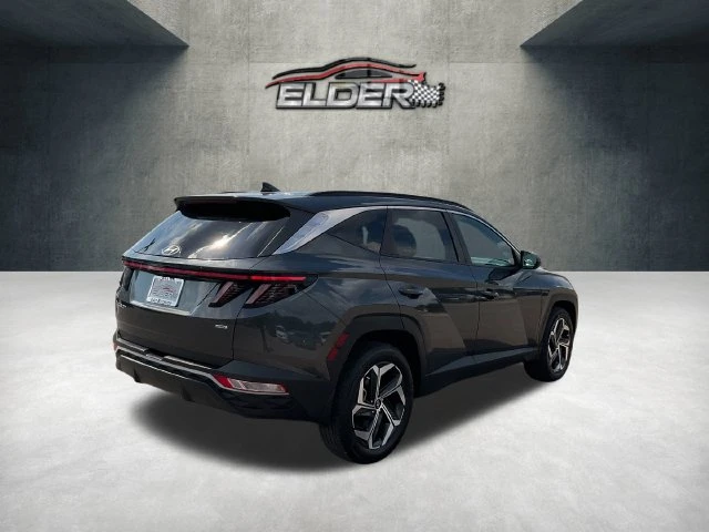 Elder Mitsubishi