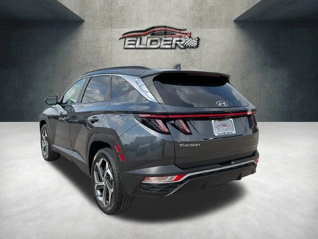 Elder Mitsubishi