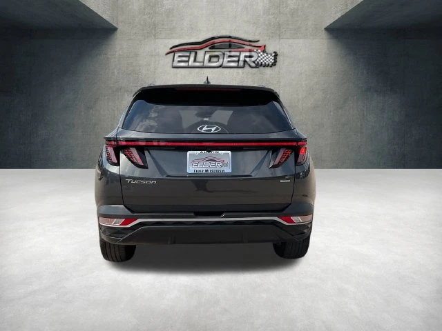 Elder Mitsubishi