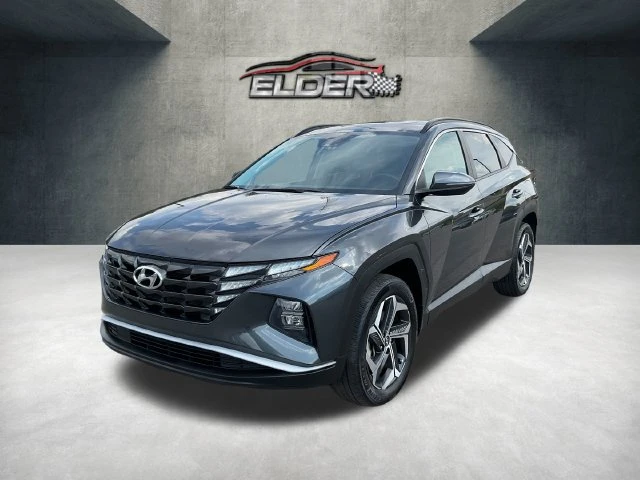 Elder Mitsubishi