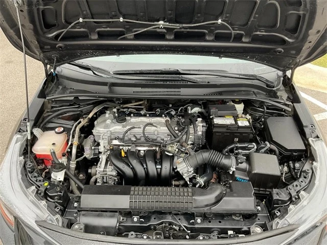 Elder Mitsubishi Killeen