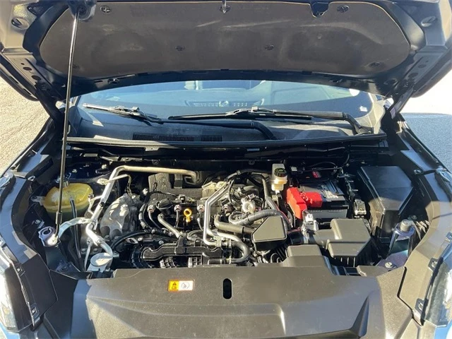 Elder Mitsubishi Killeen