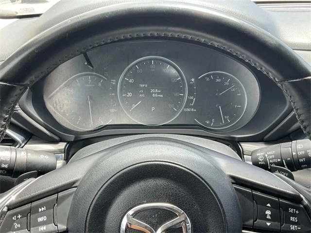 Elder Mitsubishi