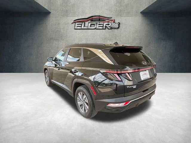 Elder Mitsubishi