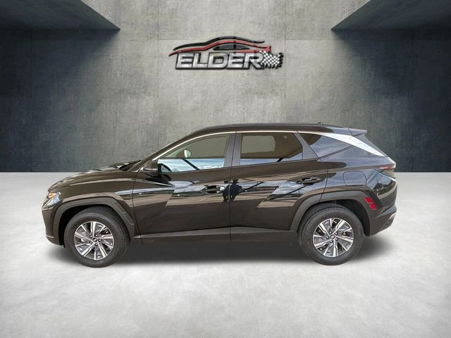 Elder Mitsubishi