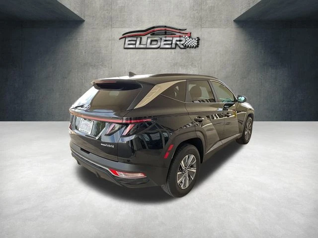 Elder Mitsubishi