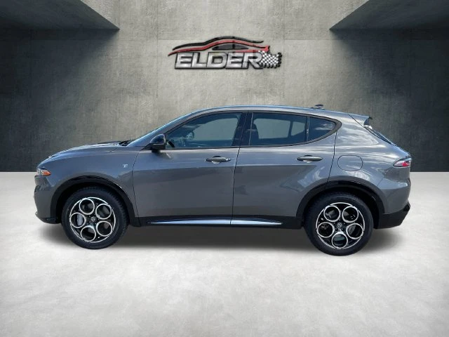 Elder Mitsubishi