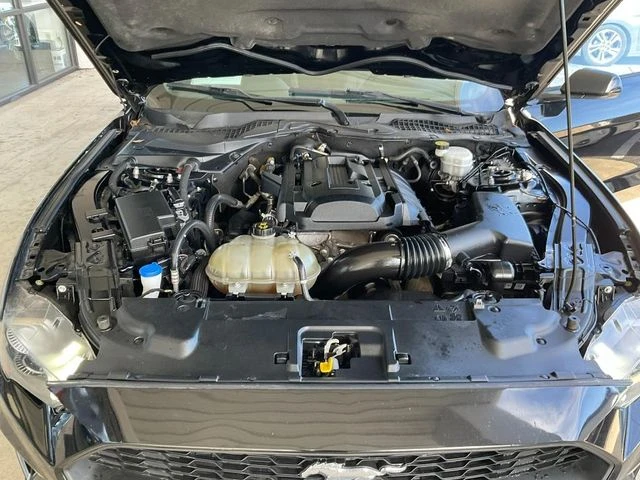 Elder Mitsubishi Killeen