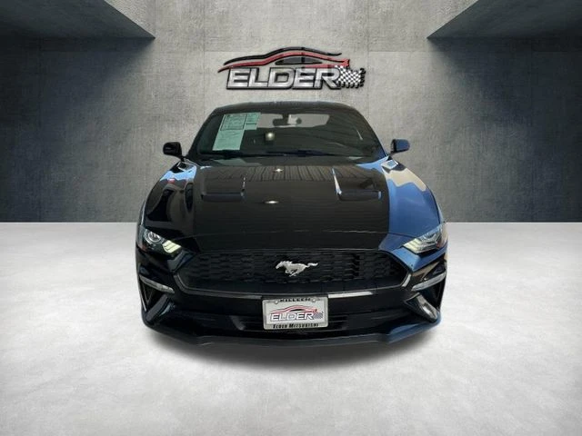 Elder Mitsubishi Killeen