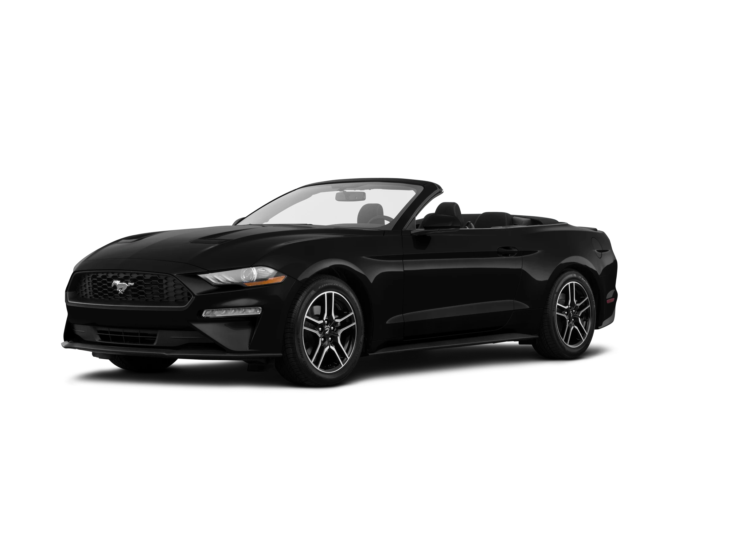 Elder Mitsubishi Killeen