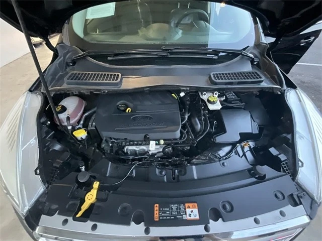 Elder Mitsubishi Killeen