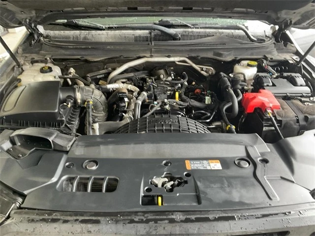 Elder Mitsubishi Killeen