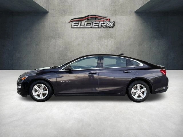 Elder Mitsubishi