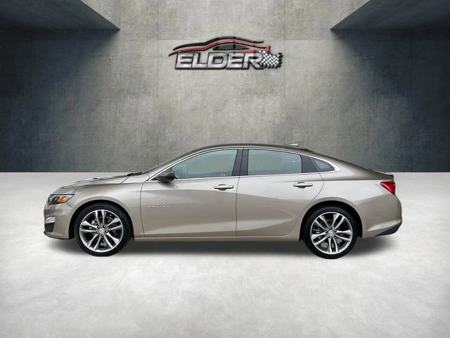 Elder Mitsubishi