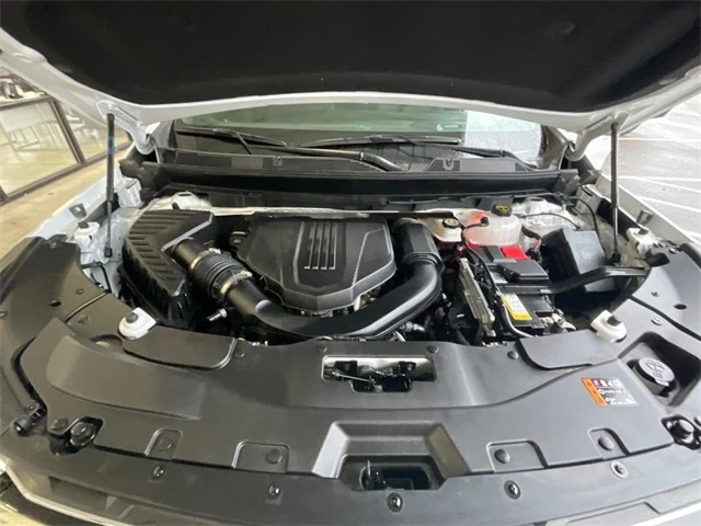 Elder Mitsubishi Killeen