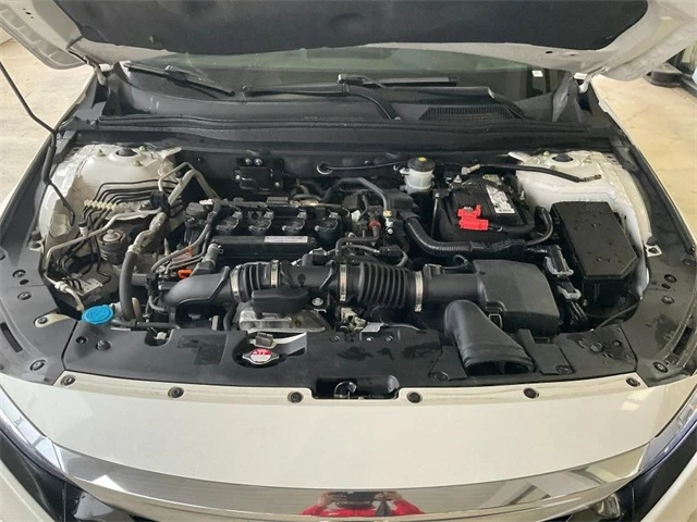 Elder Mitsubishi Killeen