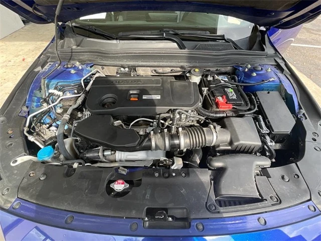 Elder Mitsubishi Killeen