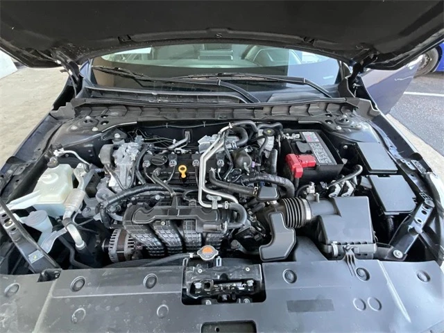 Elder Mitsubishi Killeen