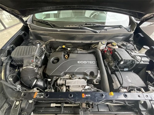 Elder Mitsubishi Killeen