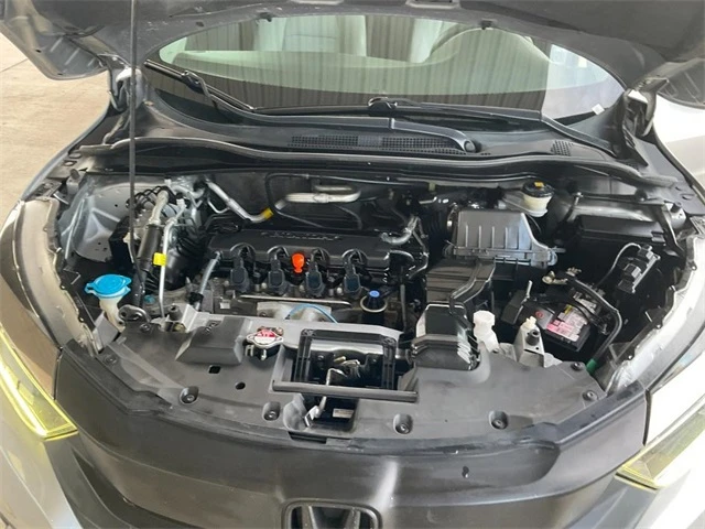 Elder Mitsubishi Killeen