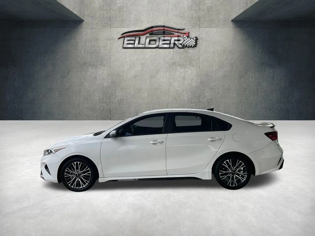 Elder Mitsubishi