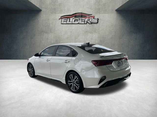 Elder Mitsubishi