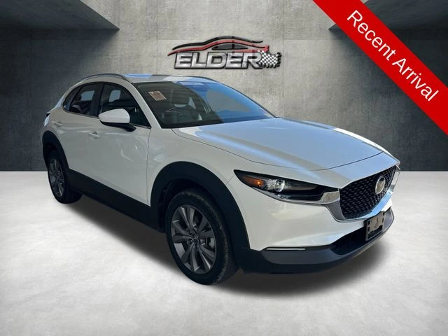 Elder Mitsubishi