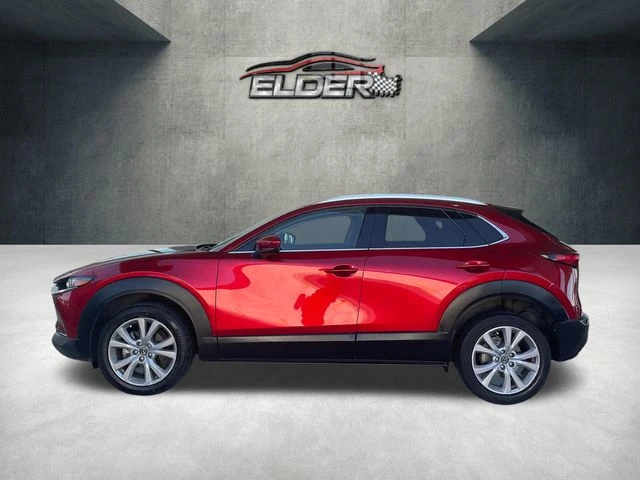 Elder Mitsubishi