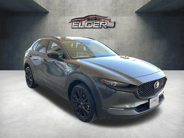 Elder Mitsubishi