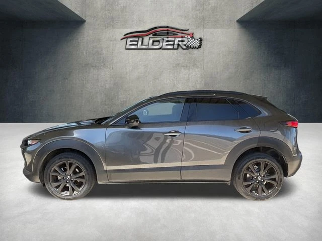 Elder Mitsubishi