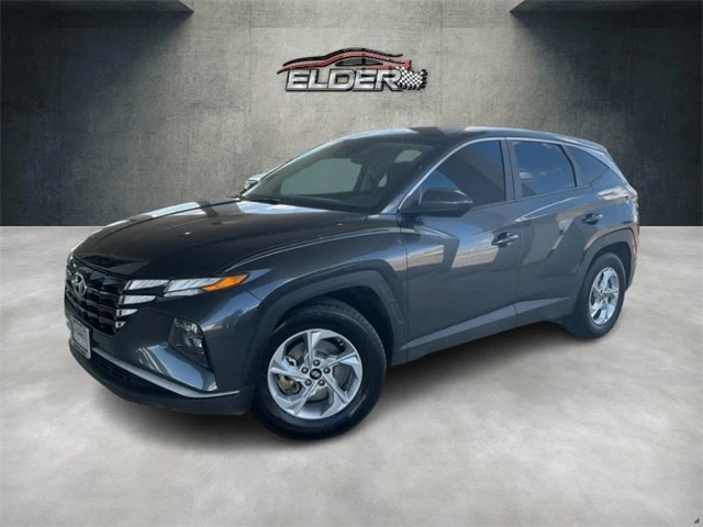 Elder Mitsubishi