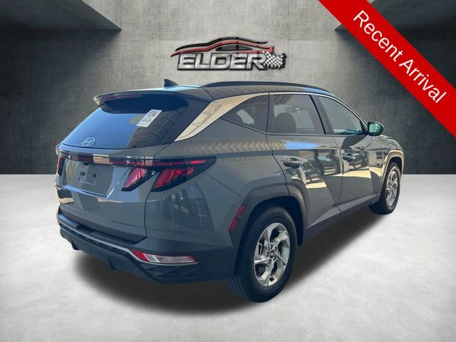 Elder Mitsubishi