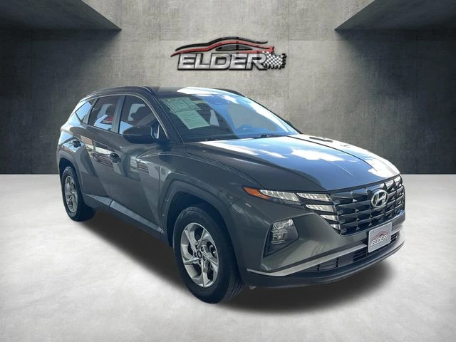 Elder Mitsubishi
