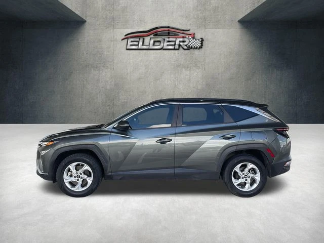 Elder Mitsubishi
