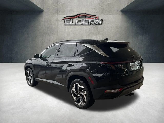 Elder Mitsubishi