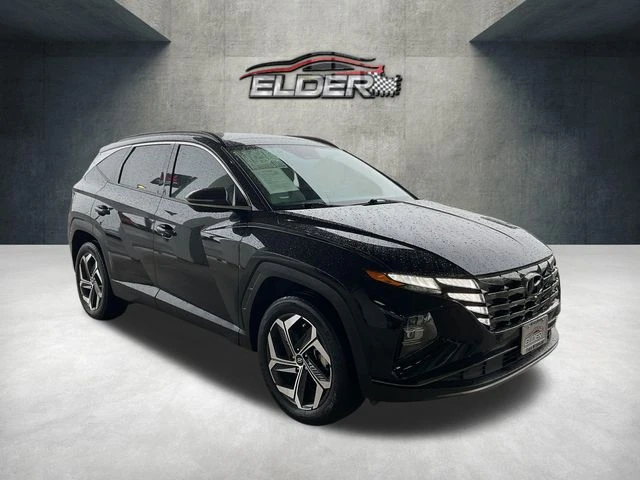 Elder Mitsubishi