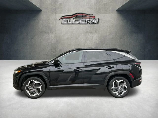 Elder Mitsubishi