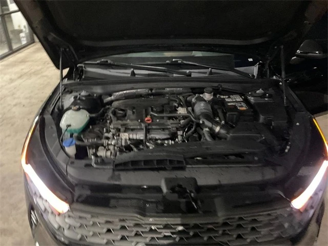 Elder Mitsubishi Killeen